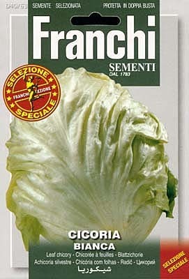 Chicoréesalat Bianca 6164 (40/63)