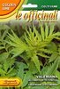 Echter Baldrian (Valeriana officinalis L.) 6345 (140/50)