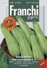 Zucchini Greyzini F 1 6640 (146/16)