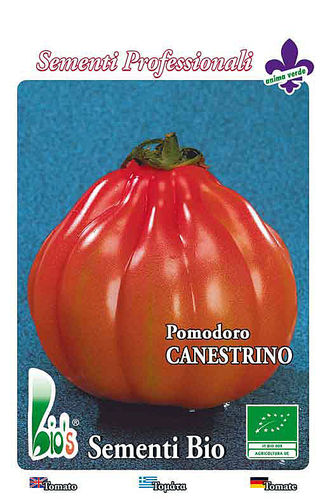Tomaten Canestrino BIO 6760 (329701)