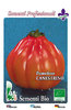 Tomaten Canestrino BIO 6760 (329701)
