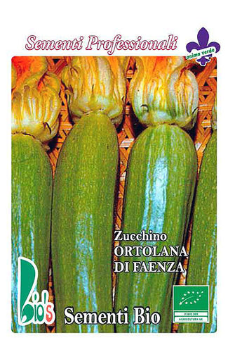 Zucchini Ortolana di Faenza BIO 6762 (437001)