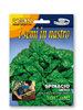 Spinat Riccio d`Asti (America) Saatband 6739 (127/18)